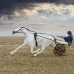 Deauville-Sculpture-OK-scaled-1